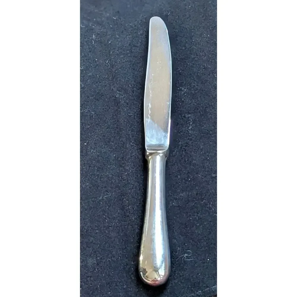 Christofle Acier Berry Stainless Steel Dinner Knife 9